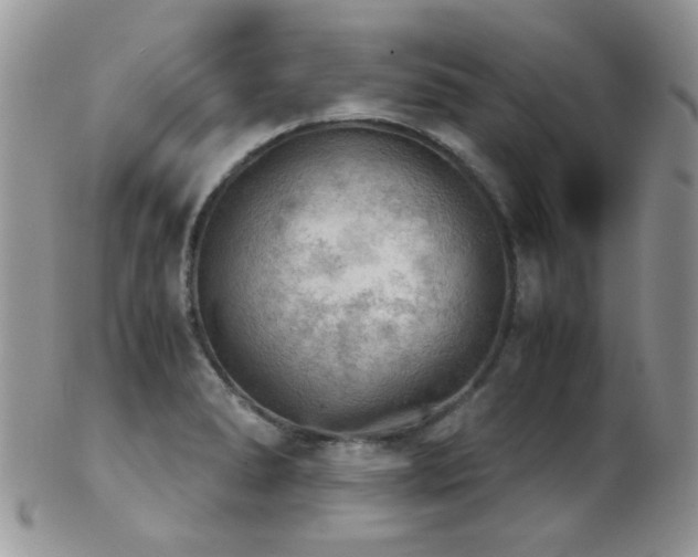X0000102241278200807251251