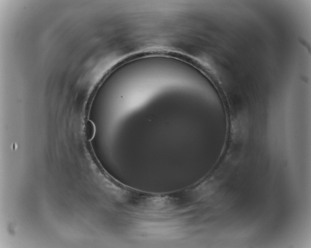 X0000102241279200807251251