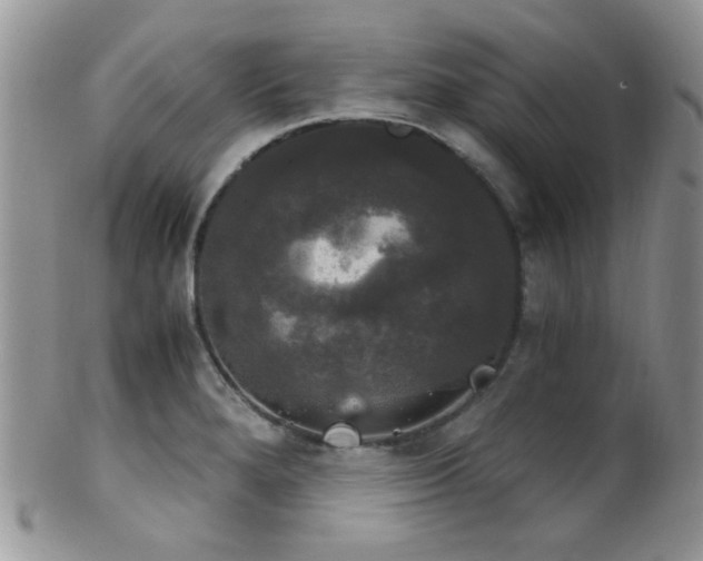X0000102241280200807251251