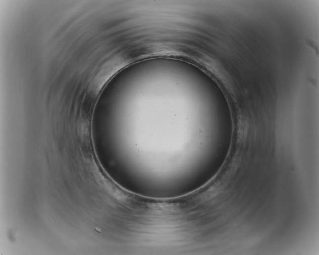 X0000102241281200807251251
