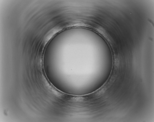 X0000102241282200807251251
