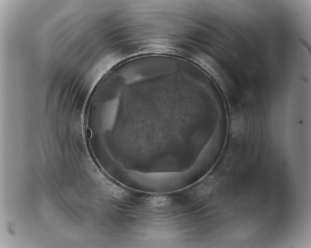 X0000102241283200807251251