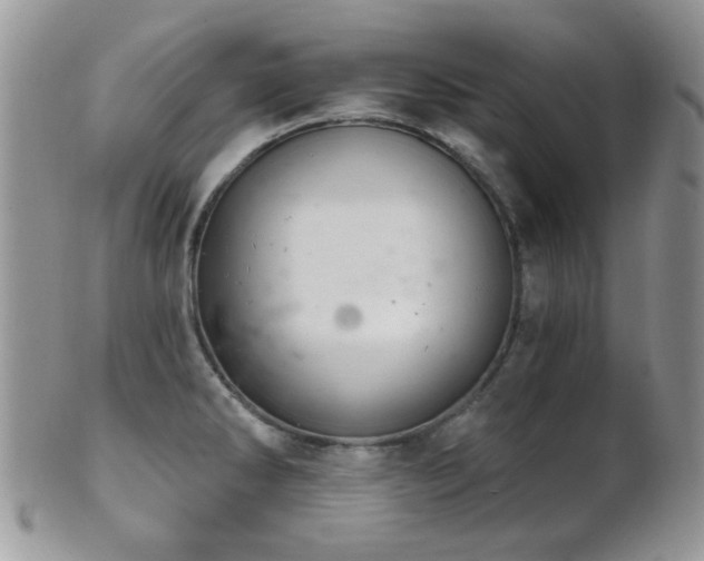 X0000102241286200807251251
