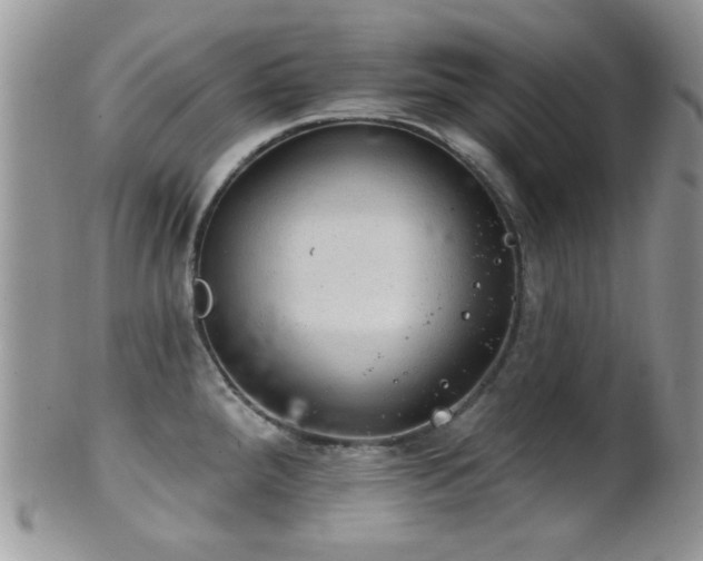 X0000102241288200807251251
