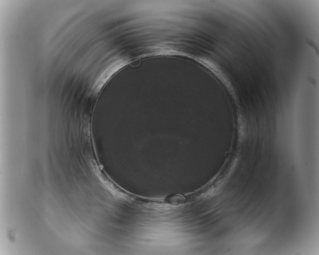 X0000102241289200807251251