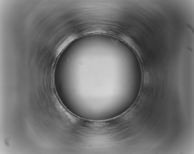 X0000102241290200807251251