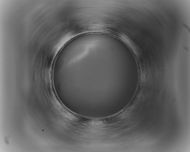 X0000102241291200807251251