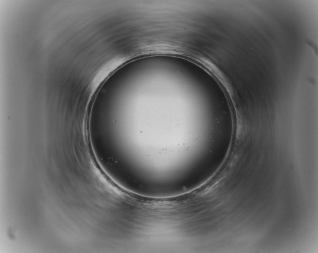 X0000102241293200807251251