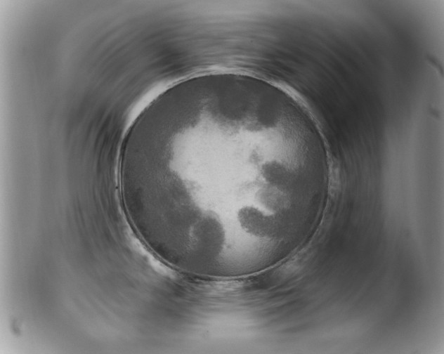 X0000102241294200807251251