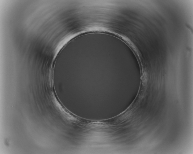 X0000102241295200807251251