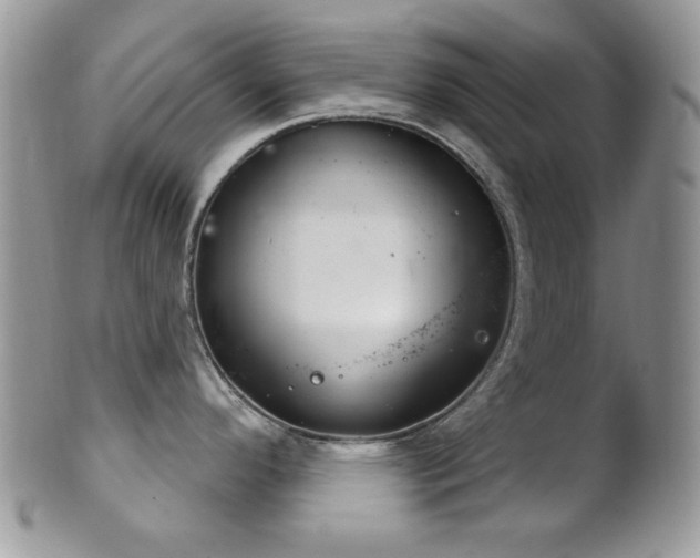 X0000102241296200807251251