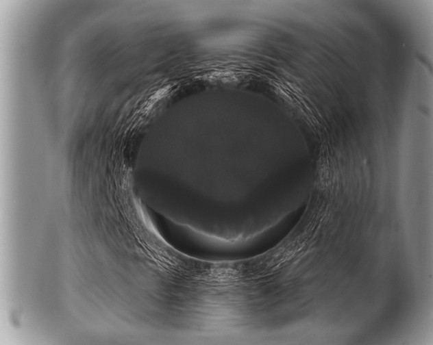 X0000102241297200807251250