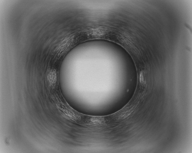 X0000102241299200807251250