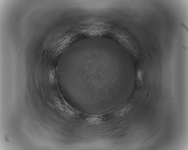 X0000102241300200807251250