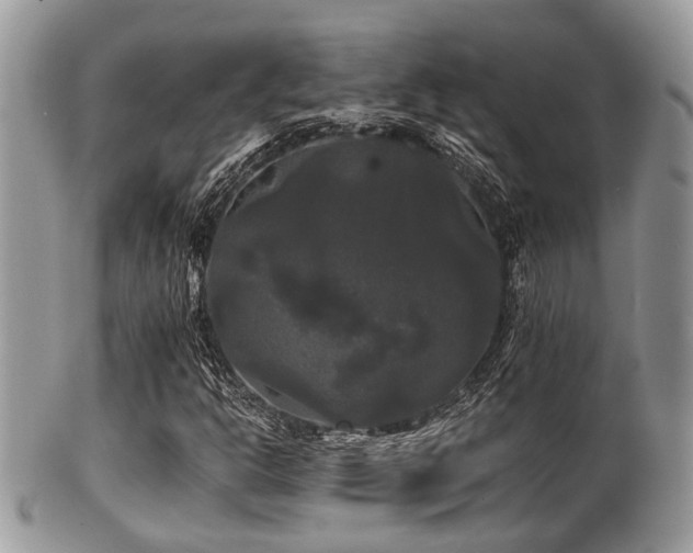 X0000102241302200807251250