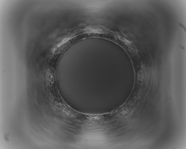 X0000102241303200807251250