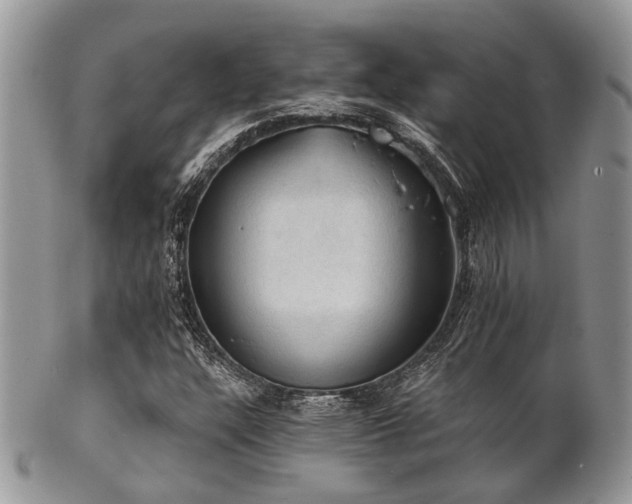 X0000102241304200807251250