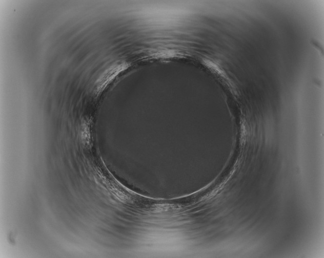 X0000102241305200807251250