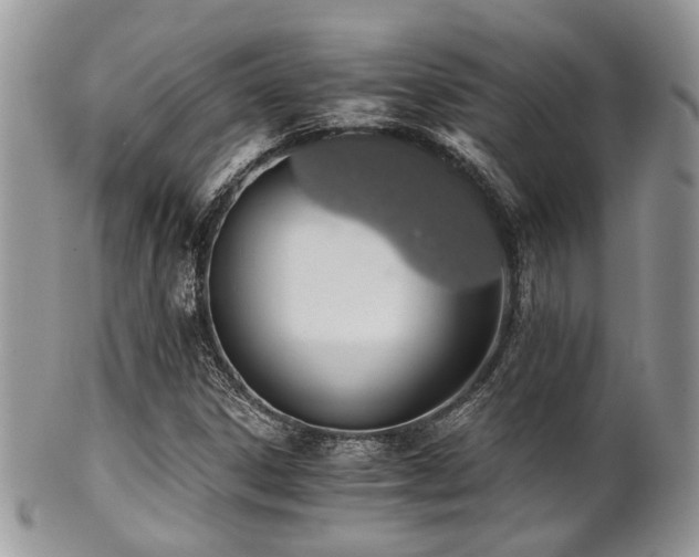 X0000102241306200807251250