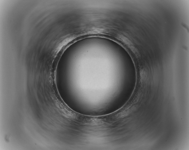 X0000102241308200807251250
