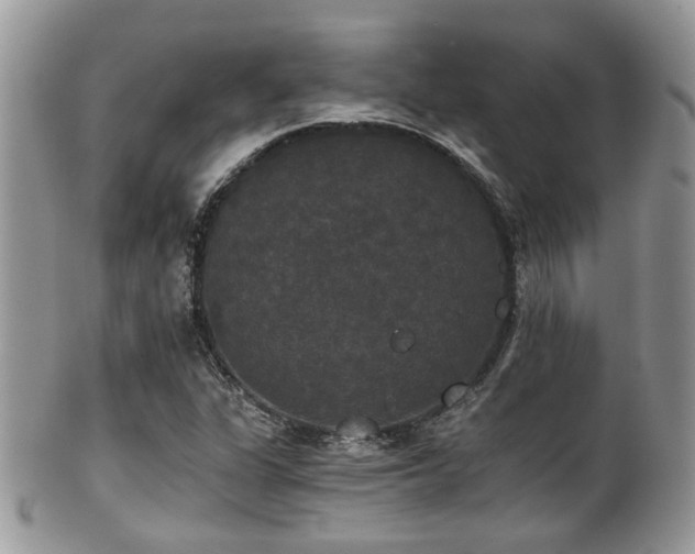 X0000102241311200807251250