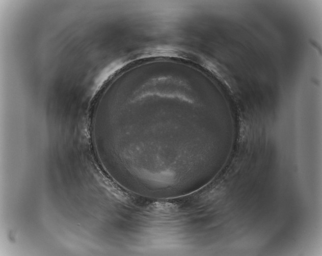 X0000102241312200807251250