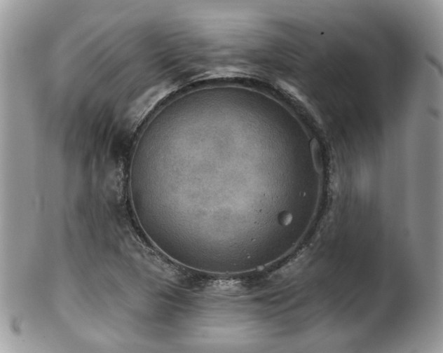 X0000102241313200807251251