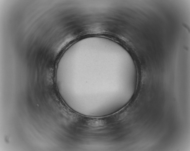 X0000102241314200807251251