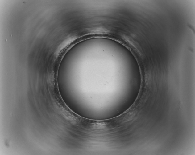 X0000102241315200807251251