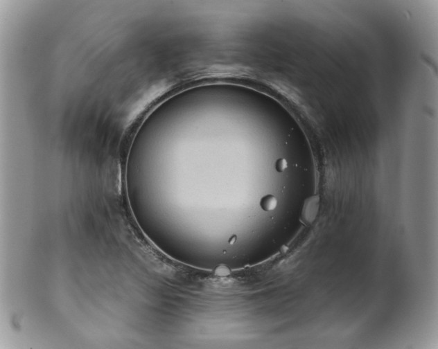 X0000102241317200807251251
