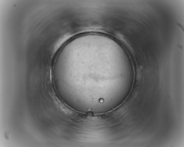 X0000102241320200807251251