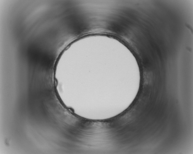 X0000102241322200807251251