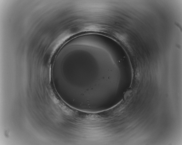 X0000102241323200807251251