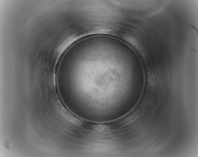X0000102241324200807251251
