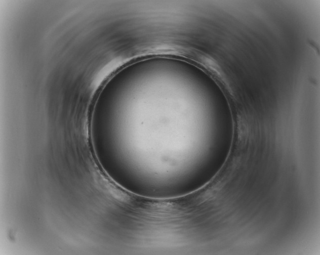 X0000102241328200807251251