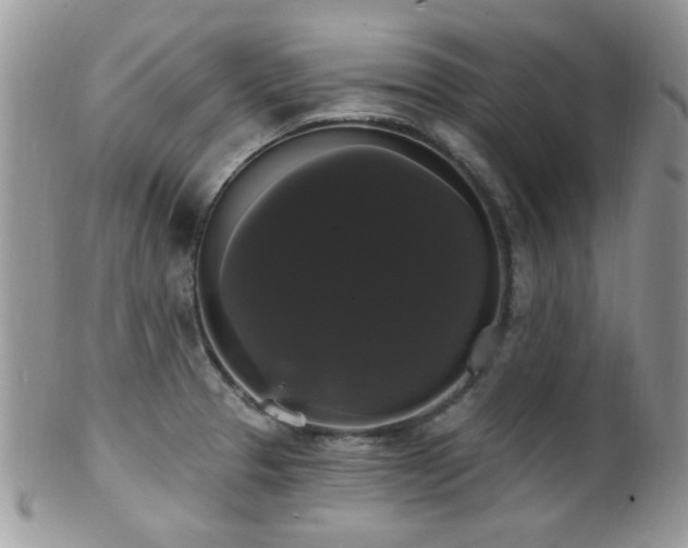 X0000102241329200807251251