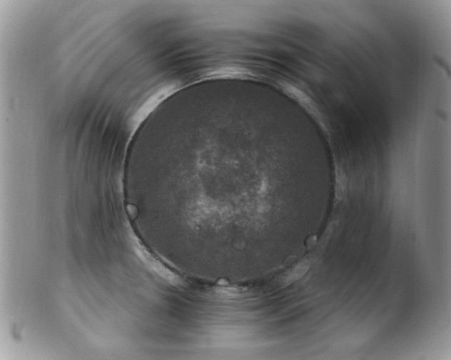X0000102241330200807251251