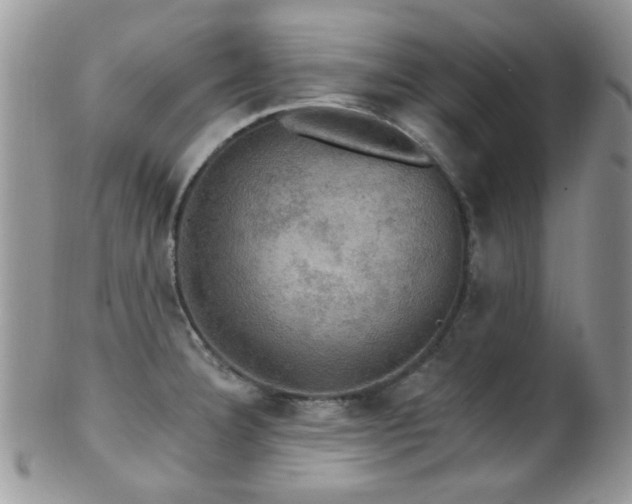 X0000102241332200807251251