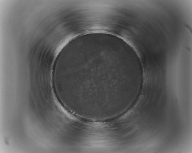 X0000102241333200807251251