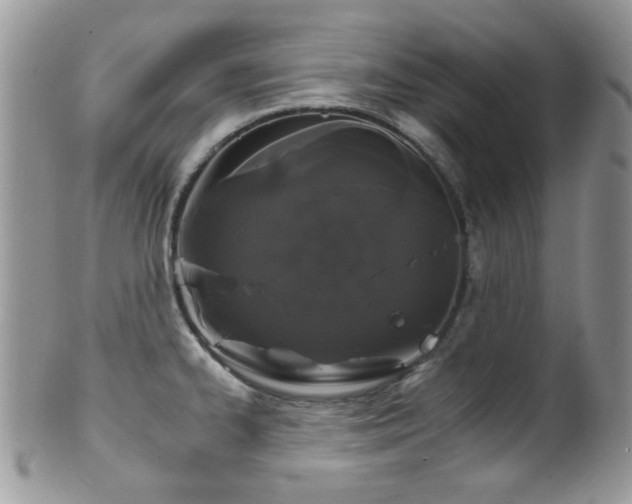 X0000102241334200807251251