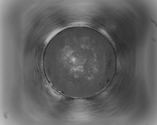 X0000102241336200807251251