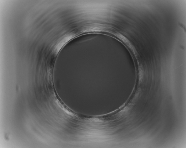X0000102241337200807251251