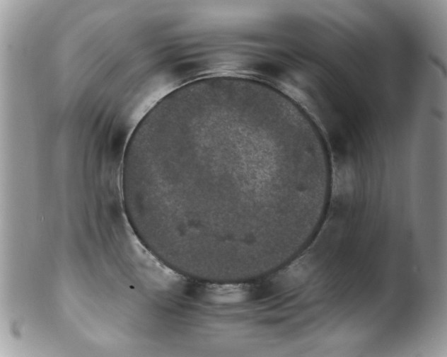 X0000102241338200807251251