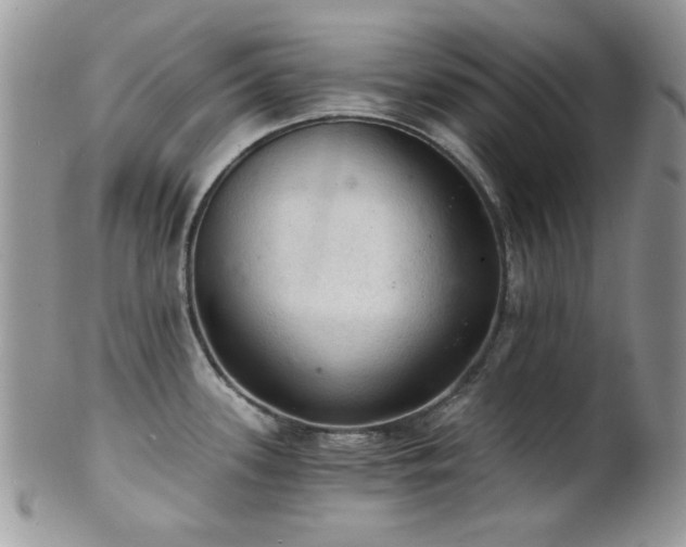 X0000102241339200807251251