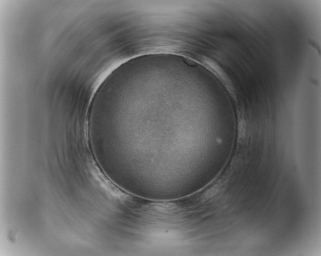 X0000102241340200807251251