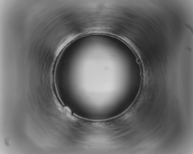 X0000102241341200807251251