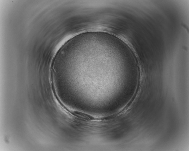 X0000102241342200807251251