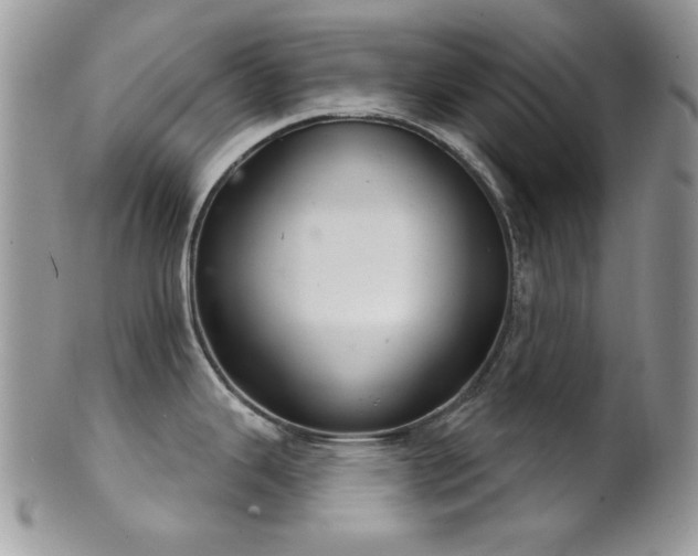 X0000102241343200807251251