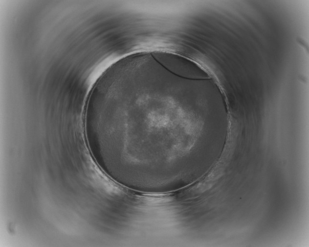 X0000102241344200807251251