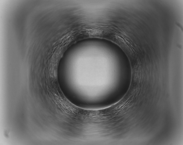 X0000102241345200807251250